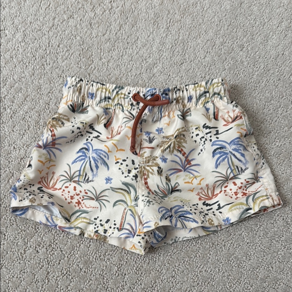 Zara High Waist White and Blue Shorts